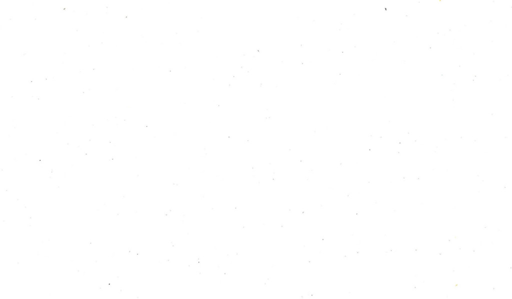 ABSOLUTE WHITE