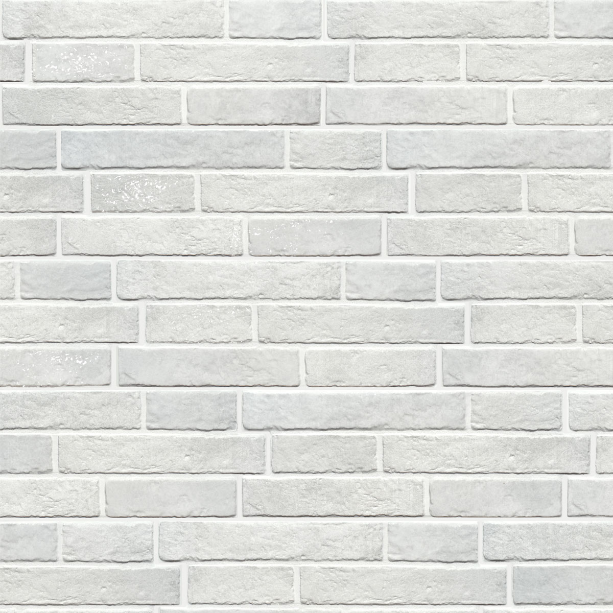 Dany porcelain tile range — Uptiles Brisbane