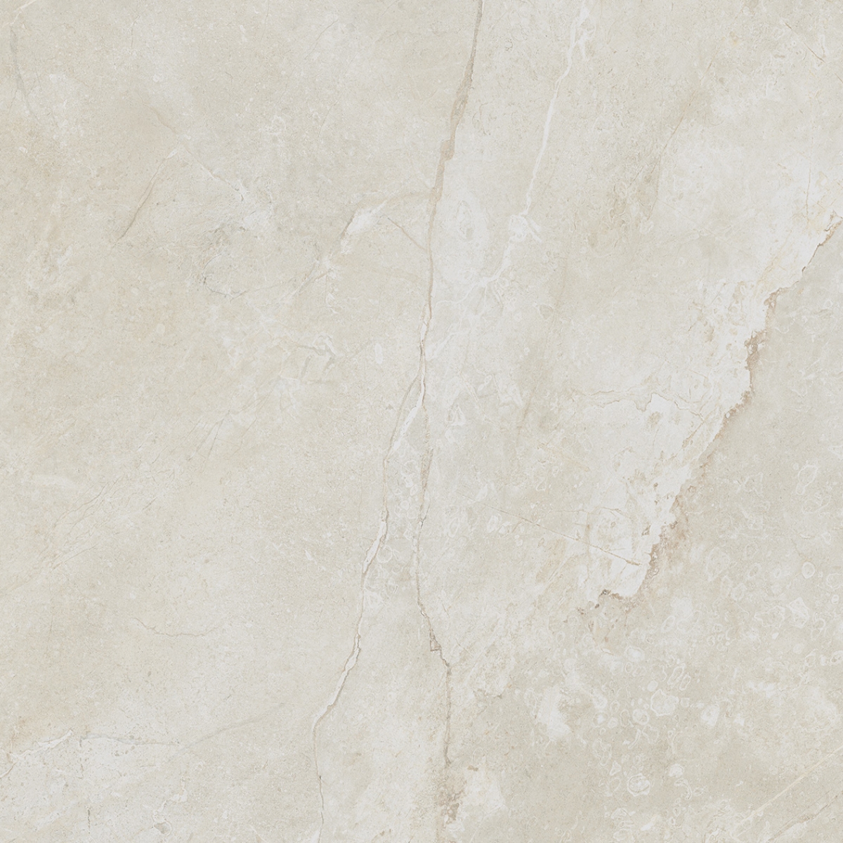 Arcadia porcelain tile range — Uptiles Brisbane