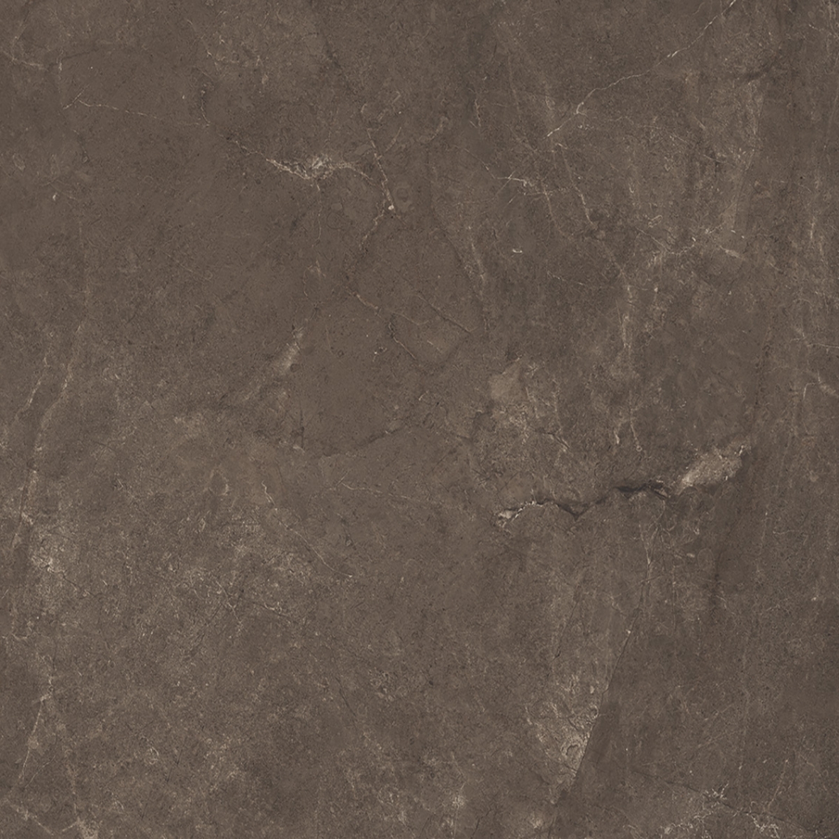 Arcadia Terra tiles — Uptiles Brisbane