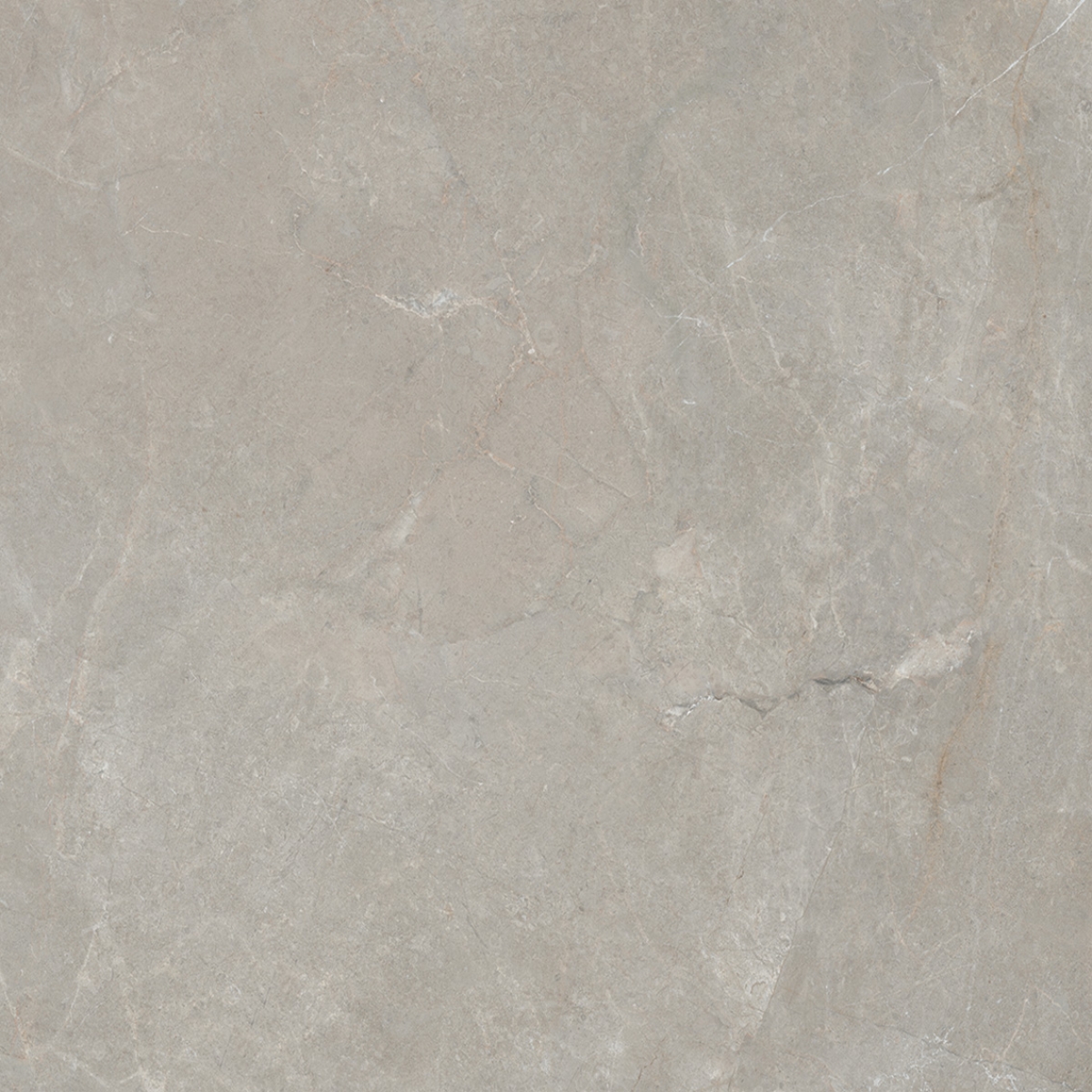 Arcadia Visone tiles — Uptiles Brisbane